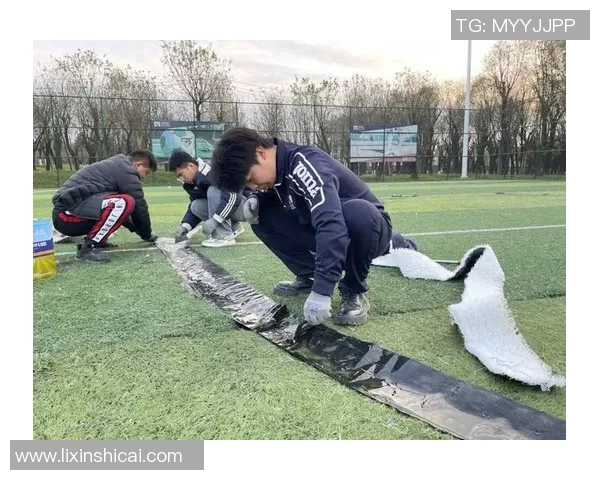 国际足球赛事草皮养护标准与技术要求全面解析与实践指导